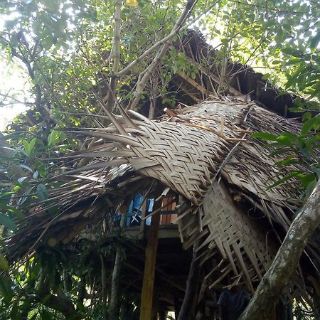 Mermaid Cabana And Tree Houses Tangalle Exterior foto