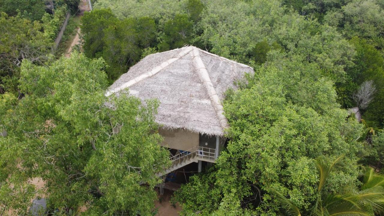 Mermaid Cabana And Tree Houses Tangalle Exterior foto