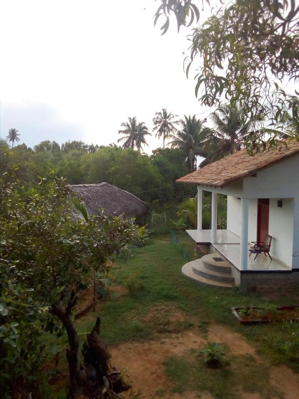 Mermaid Cabana And Tree Houses Tangalle Exterior foto