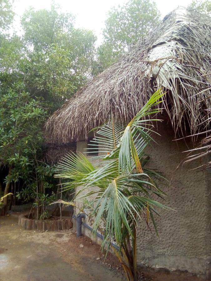 Mermaid Cabana And Tree Houses Tangalle Exterior foto