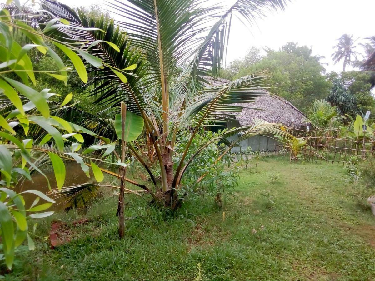 Mermaid Cabana And Tree Houses Tangalle Exterior foto