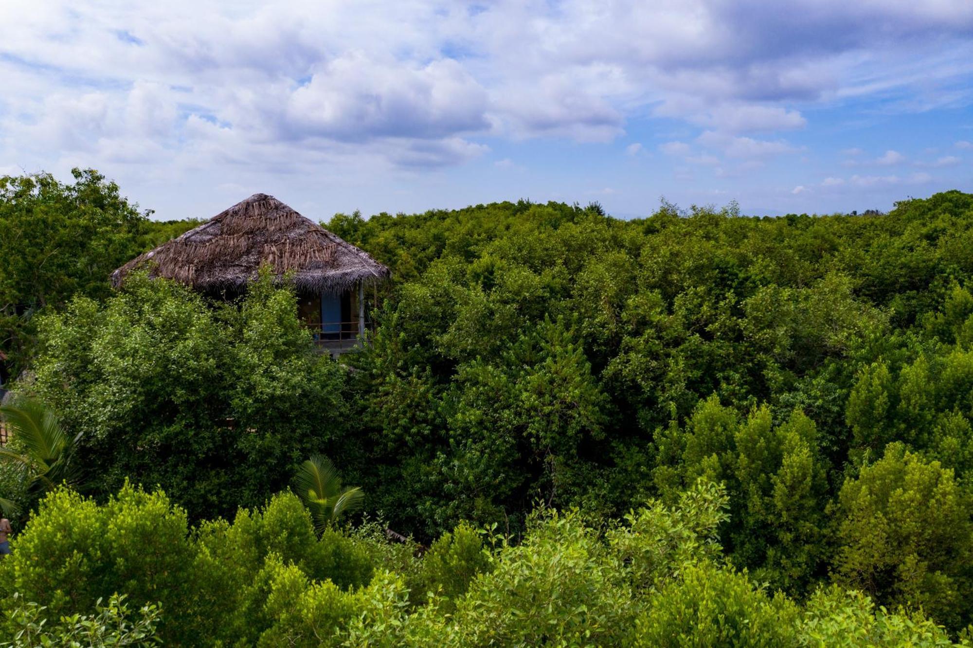 Mermaid Cabana And Tree Houses Tangalle Exterior foto